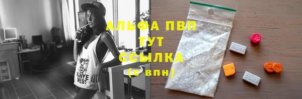 спиды Новозыбков