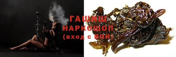 спиды Новозыбков