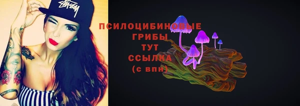 первитин Новодвинск