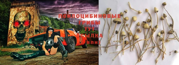 MESCALINE Новокубанск