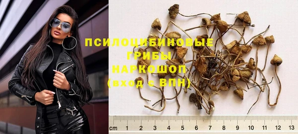 спиды Новозыбков