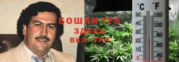 спиды Новозыбков