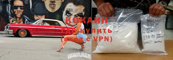 спиды Новозыбков