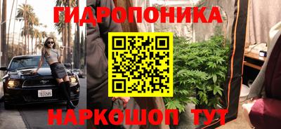 apvp Гусь-Хрустальный