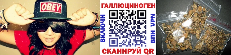 Псилоцибиновые грибы Cubensis Краснокаменск