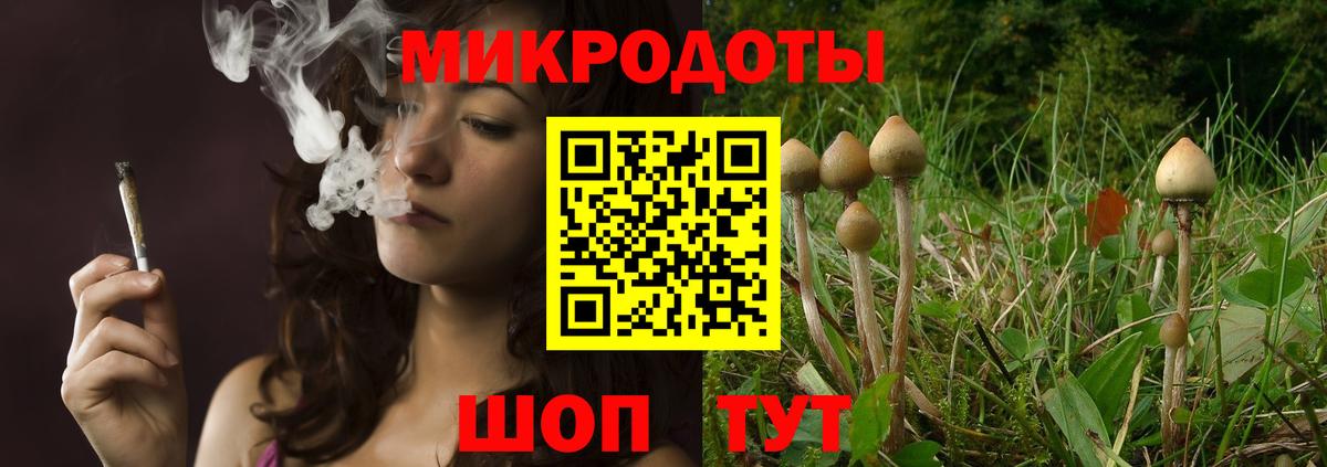 Краснокаменск  Псилоцибиновые грибы прущие грибы  Псилоцибиновые грибы ЛСД  Вход с VPN 
