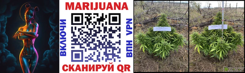 Марихуана OG Kush  где купить наркоту  Краснокаменск 